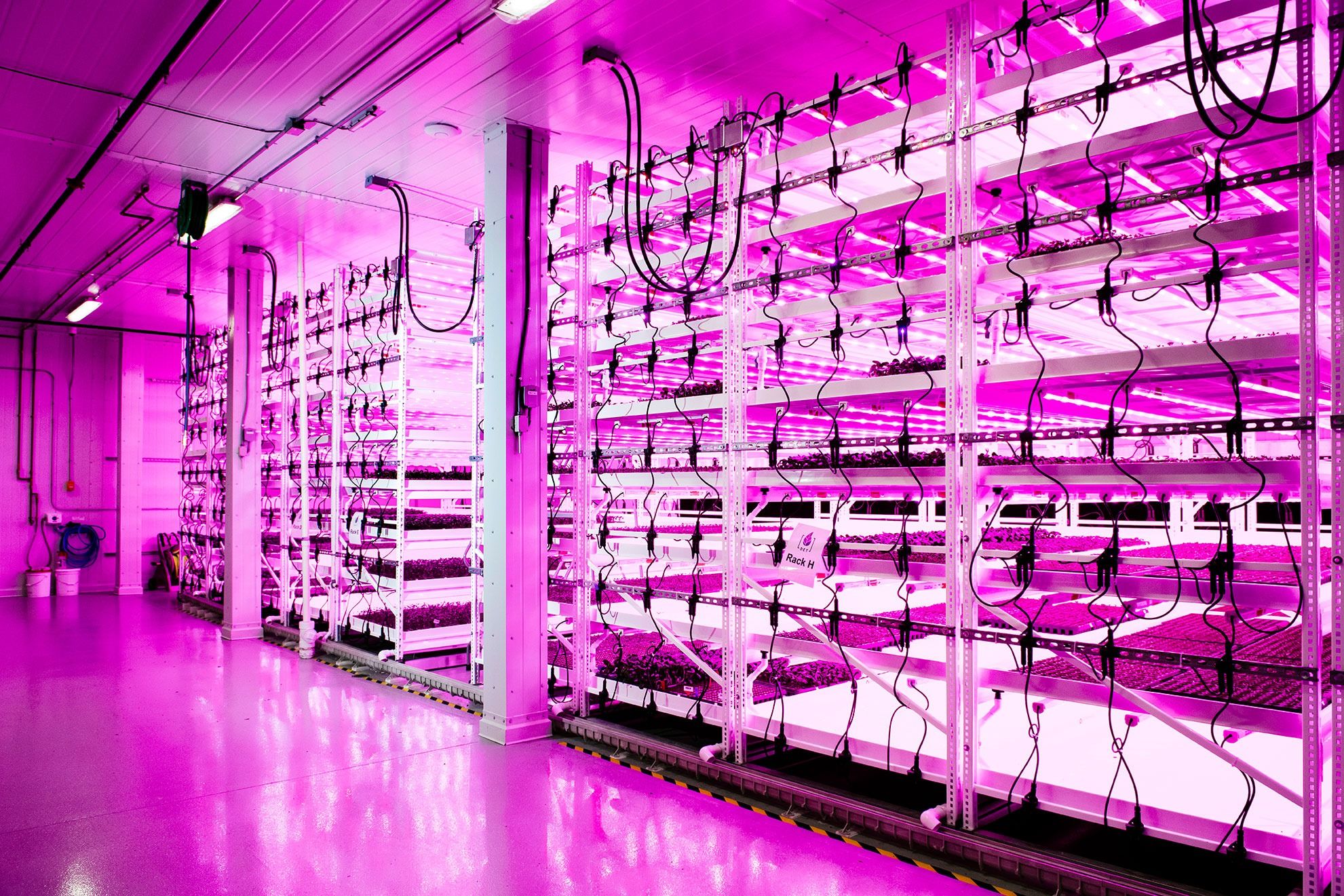 Planted Detroit Featured on Vertical Farming Podcast
