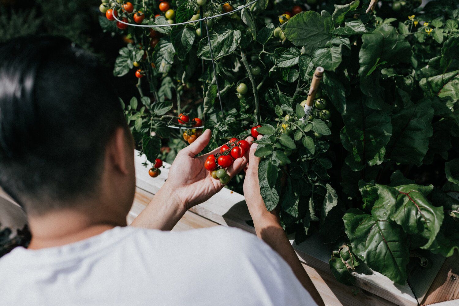 Sustainable Food Trust Proposes Introducing Nature to Prisons