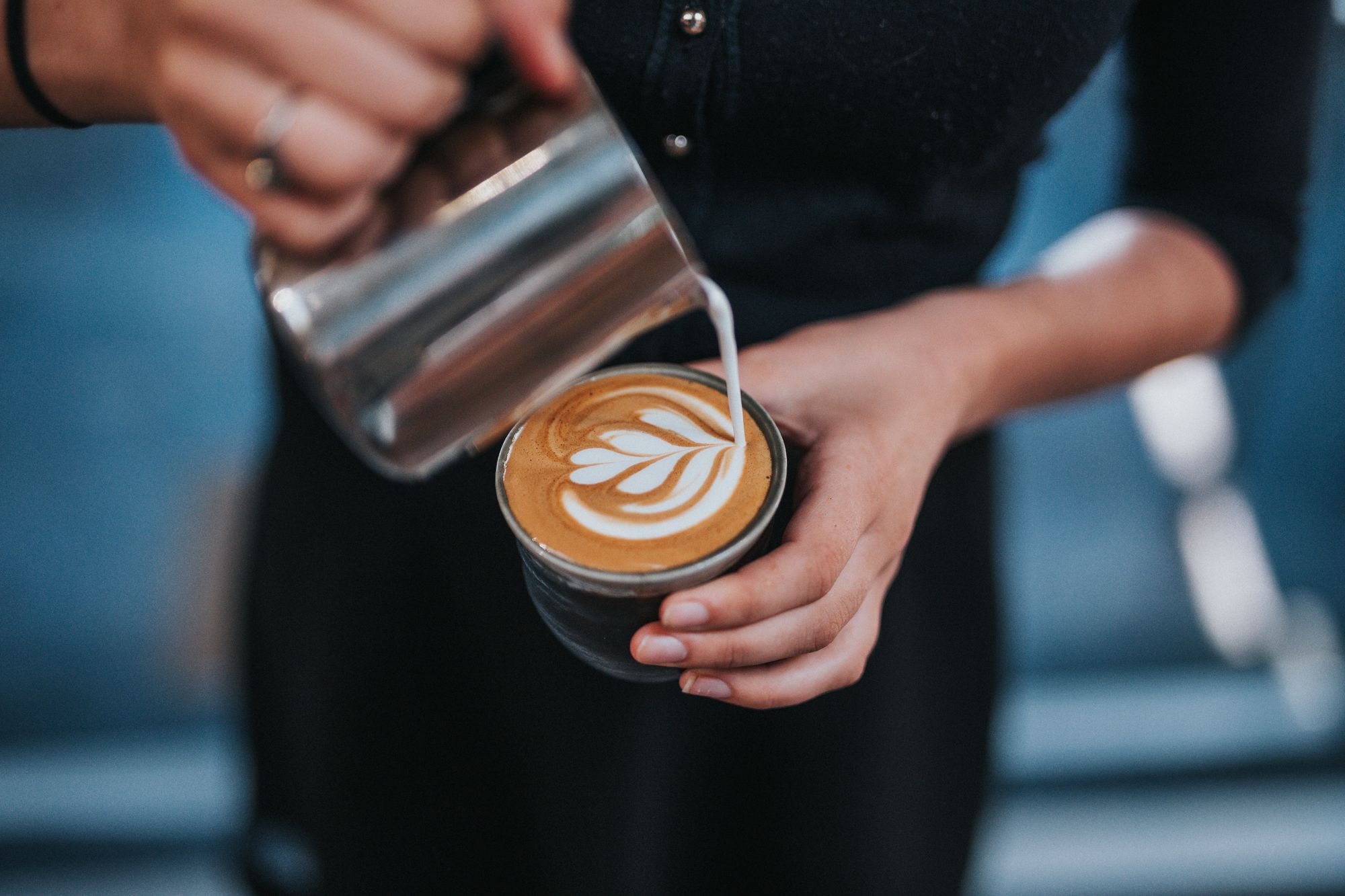 Introducing Barista Hustle Courses for Specialty Coffee Professionals