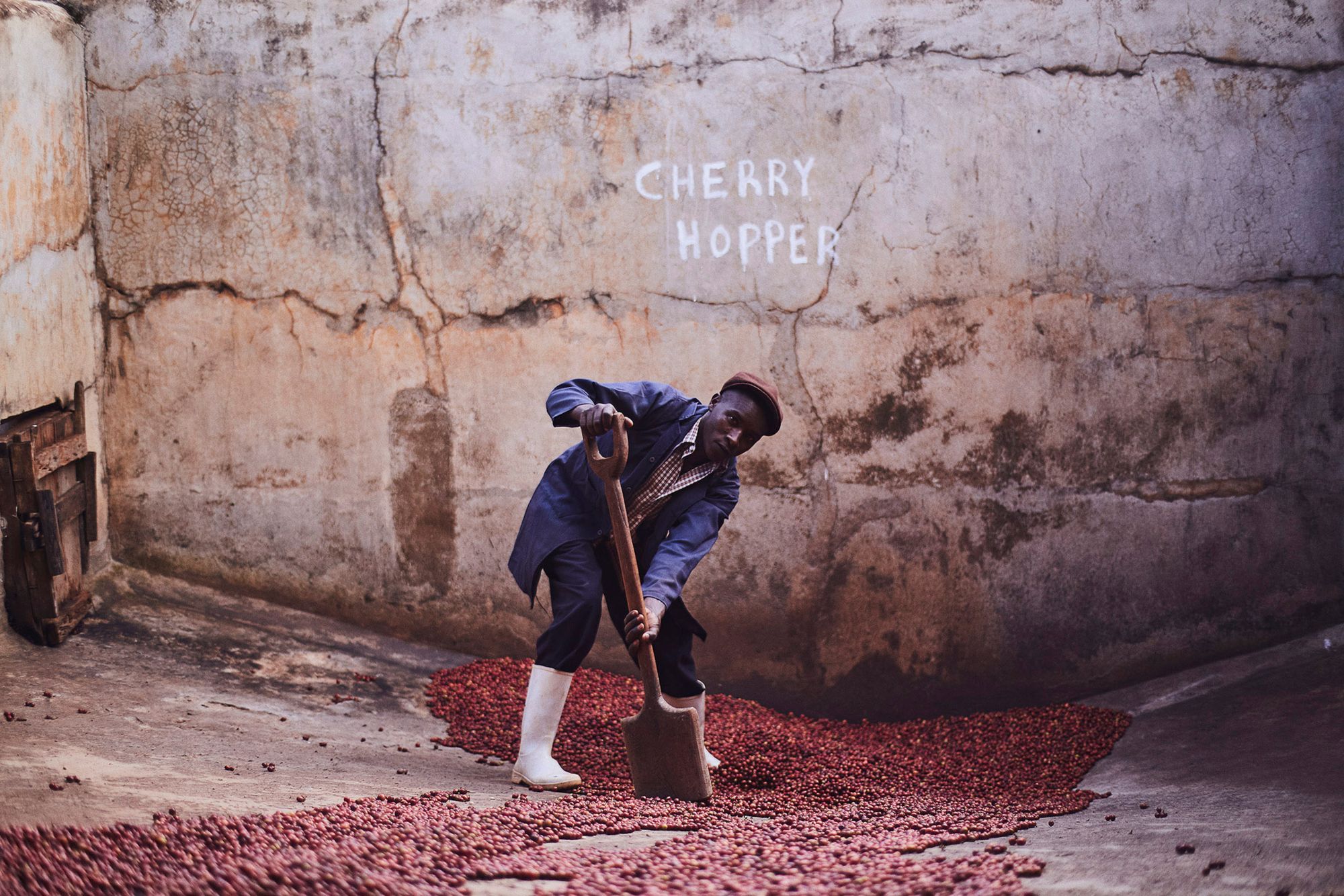 London Photographer Jake Green Documents Kenyan Coffee Supply Chain