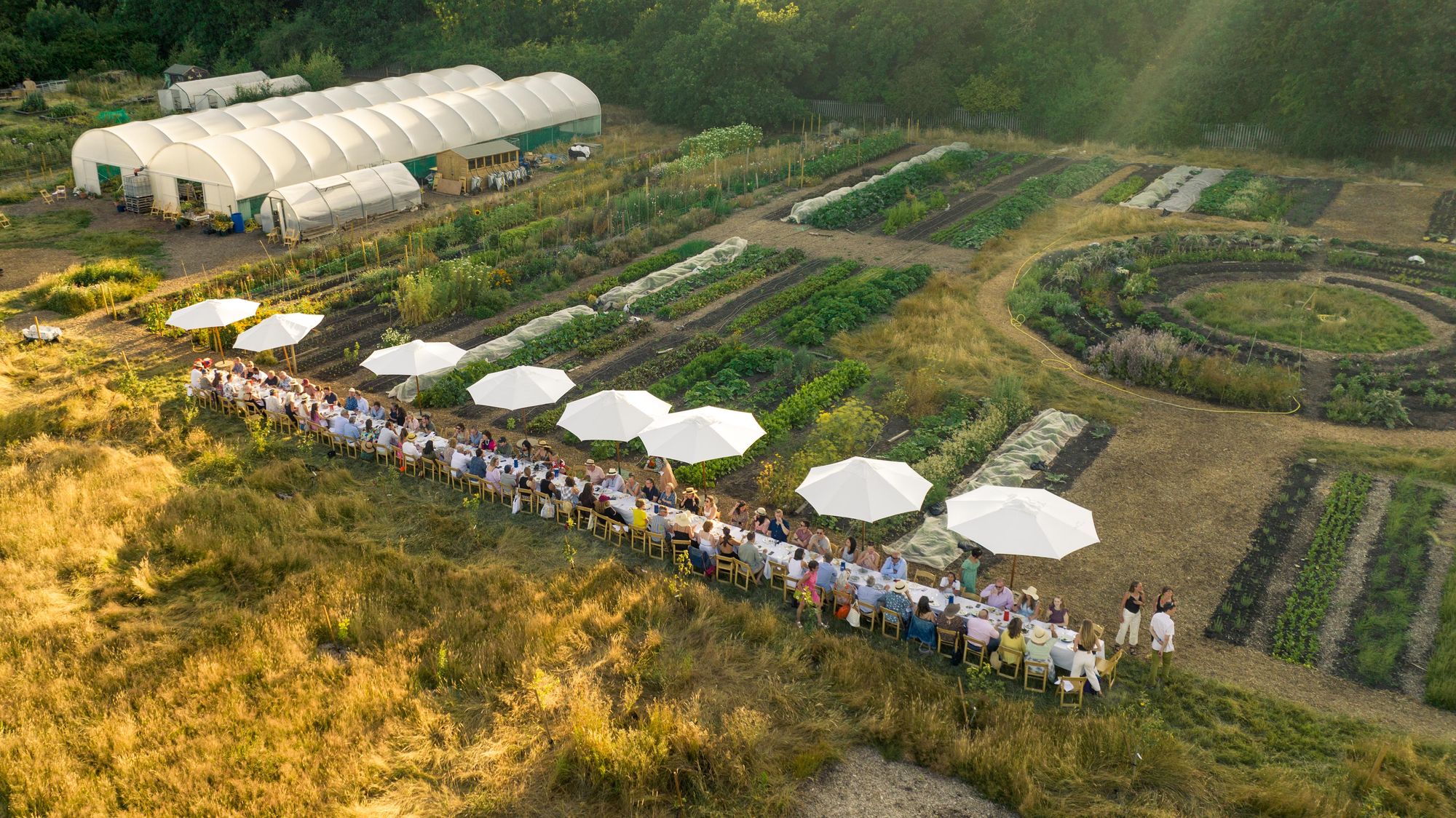 Outstanding in the Field Hosts at Sitopia Farm, London