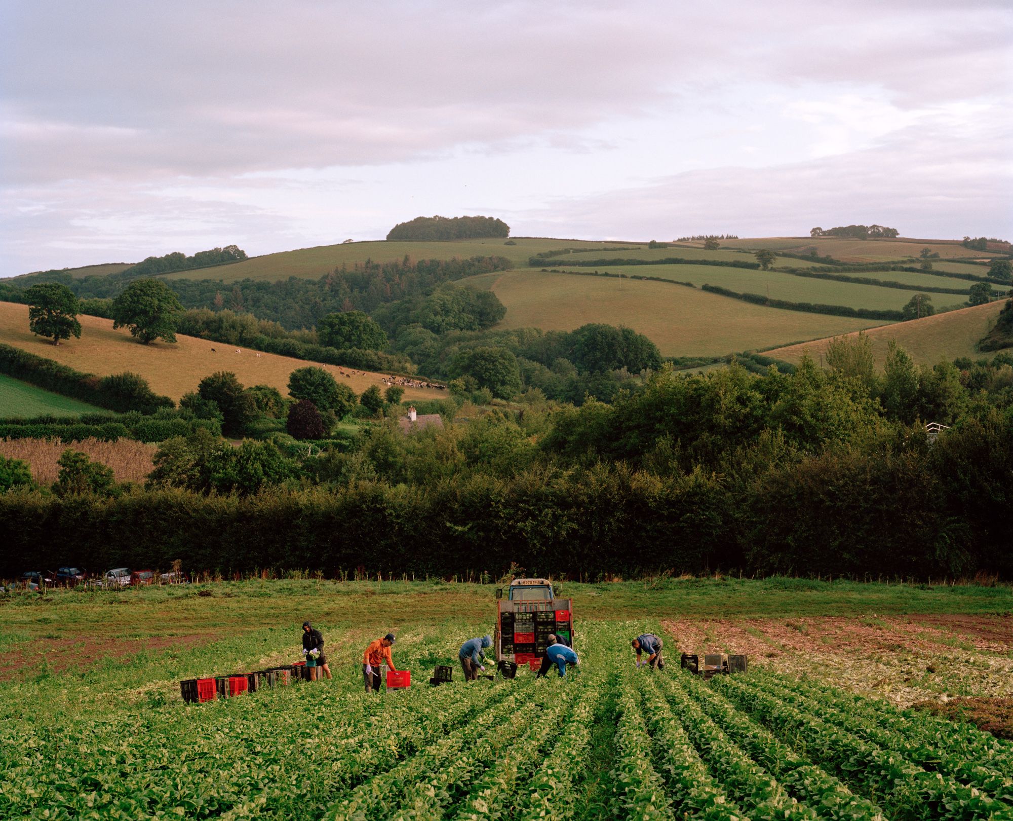 Introducing Environmental & Farming-focused Photographer Marco Kesseler