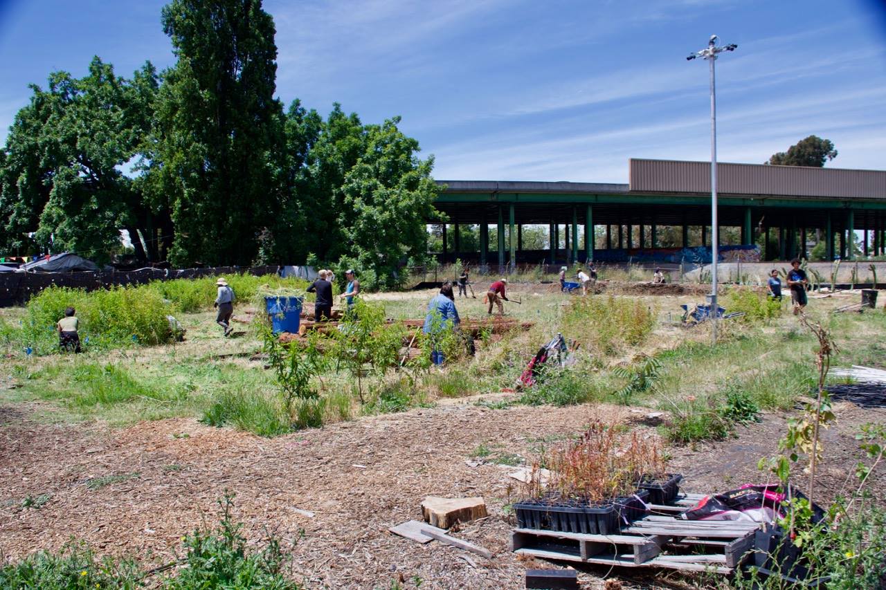 Sogorea Te' Land Trust "Remothering" San Francisco Bay Area