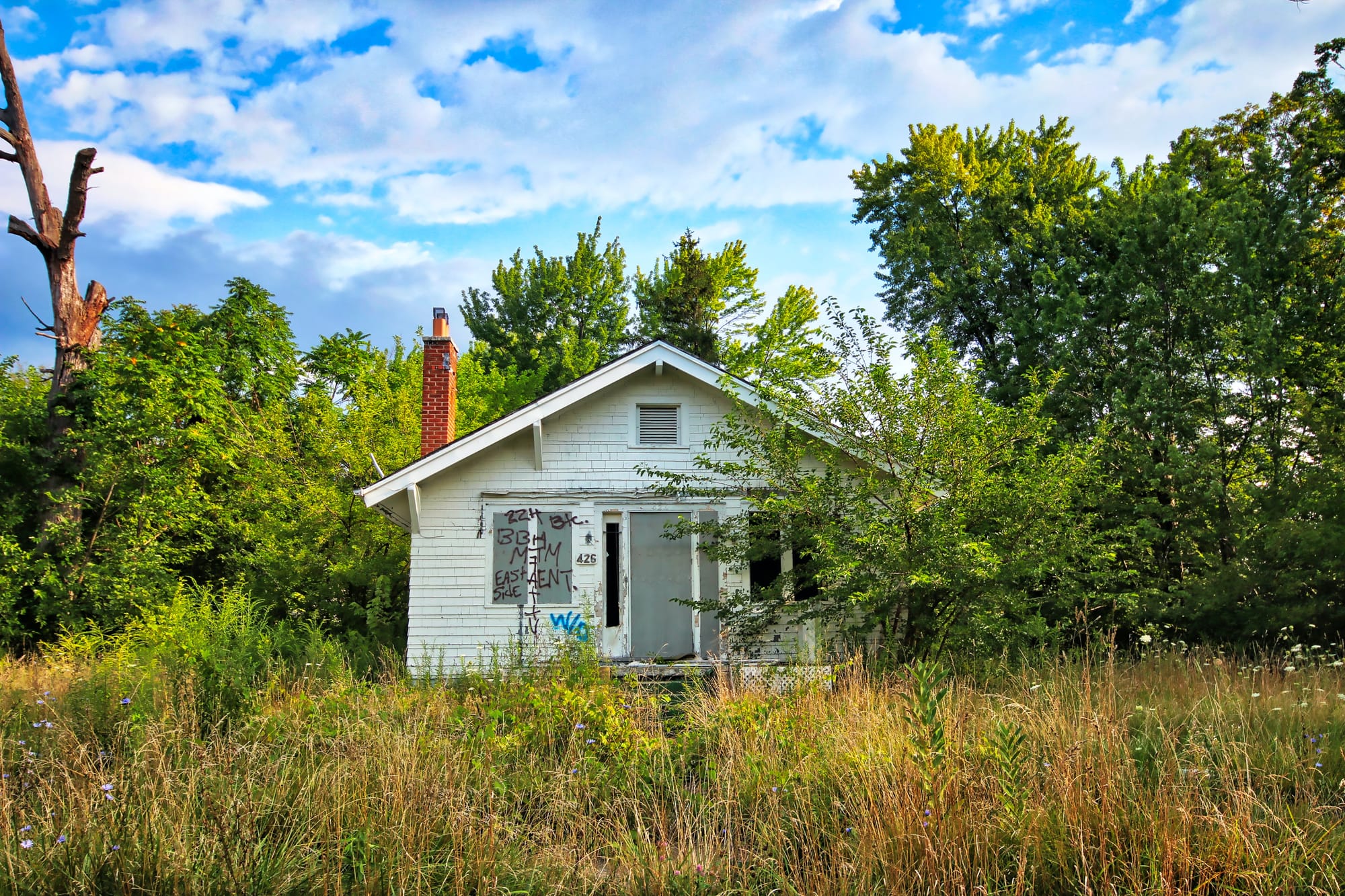 Detroit Buildings Department: Breathing New Life into Motor City's Heart