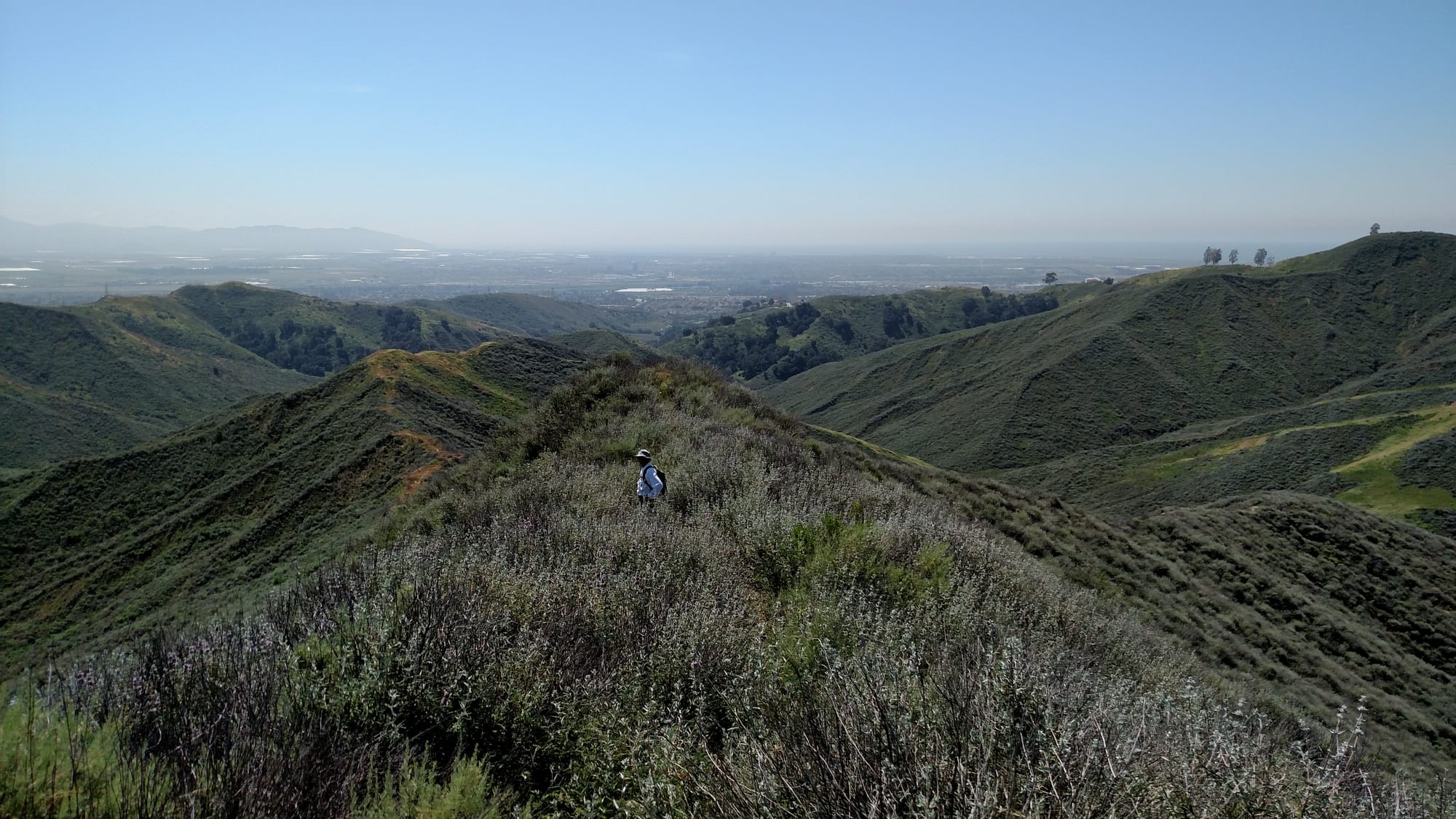 2023 Audit from Ventura Land Trust, California