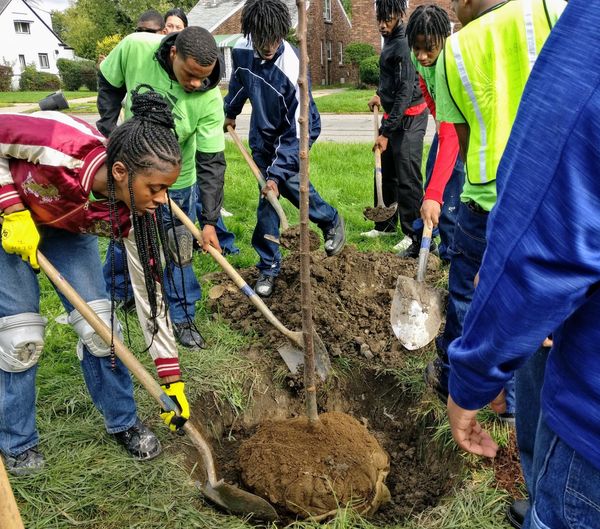 Volunteer as a Citizen Foresters with Greening of Detroit