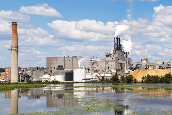Michigan Support Conversion of Escanaba Mill to Produce Cardboard