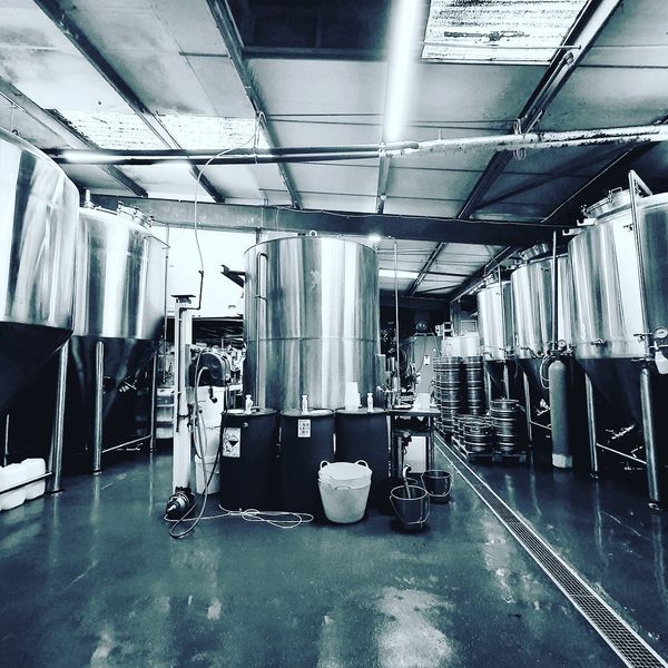 Warehouse Operative & Delivery Driver at Hammerton Brewery, London