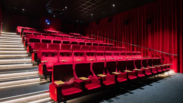 Cinema Assistant at Curzon, Knutsford