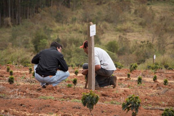 Uganda Coffee Farm Invest in Training for Local Communities